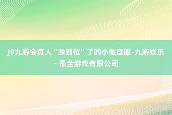 j9九游会真人“跌到位”了的小微盘股-九游娱乐 - 最全游戏有限公司