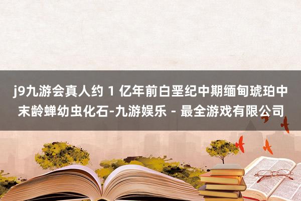 j9九游会真人约 1 亿年前白垩纪中期缅甸琥珀中末龄蝉幼虫化石-九游娱乐 - 最全游戏有限公司